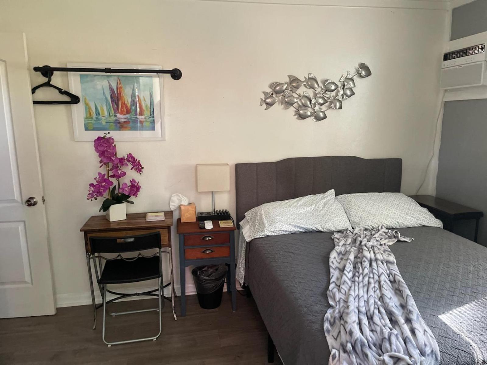 Lovely Studio Apartment With Kitchenette. Tampa Exterior photo